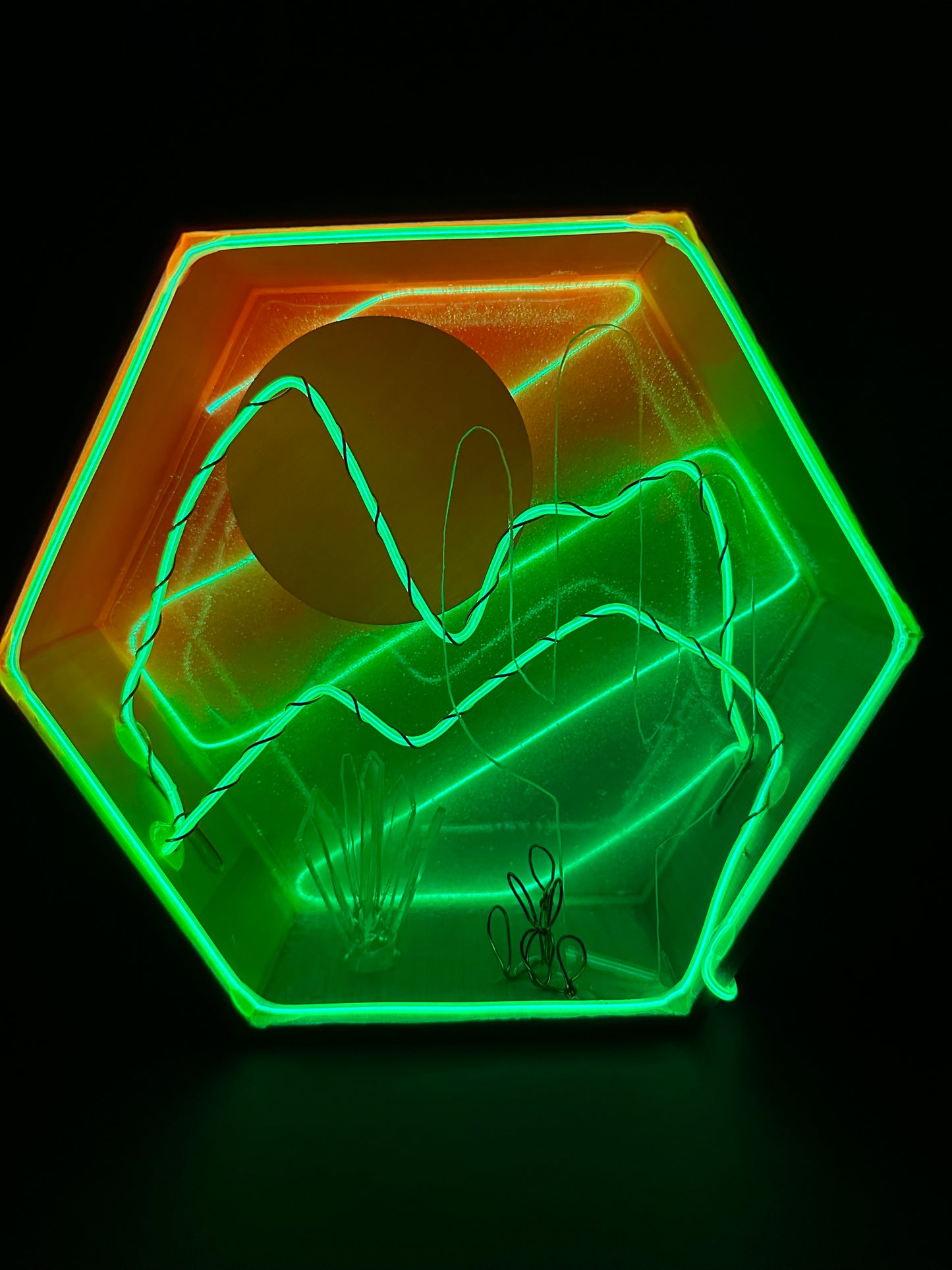 “Citrus Burst” Illuminated Shadowbox