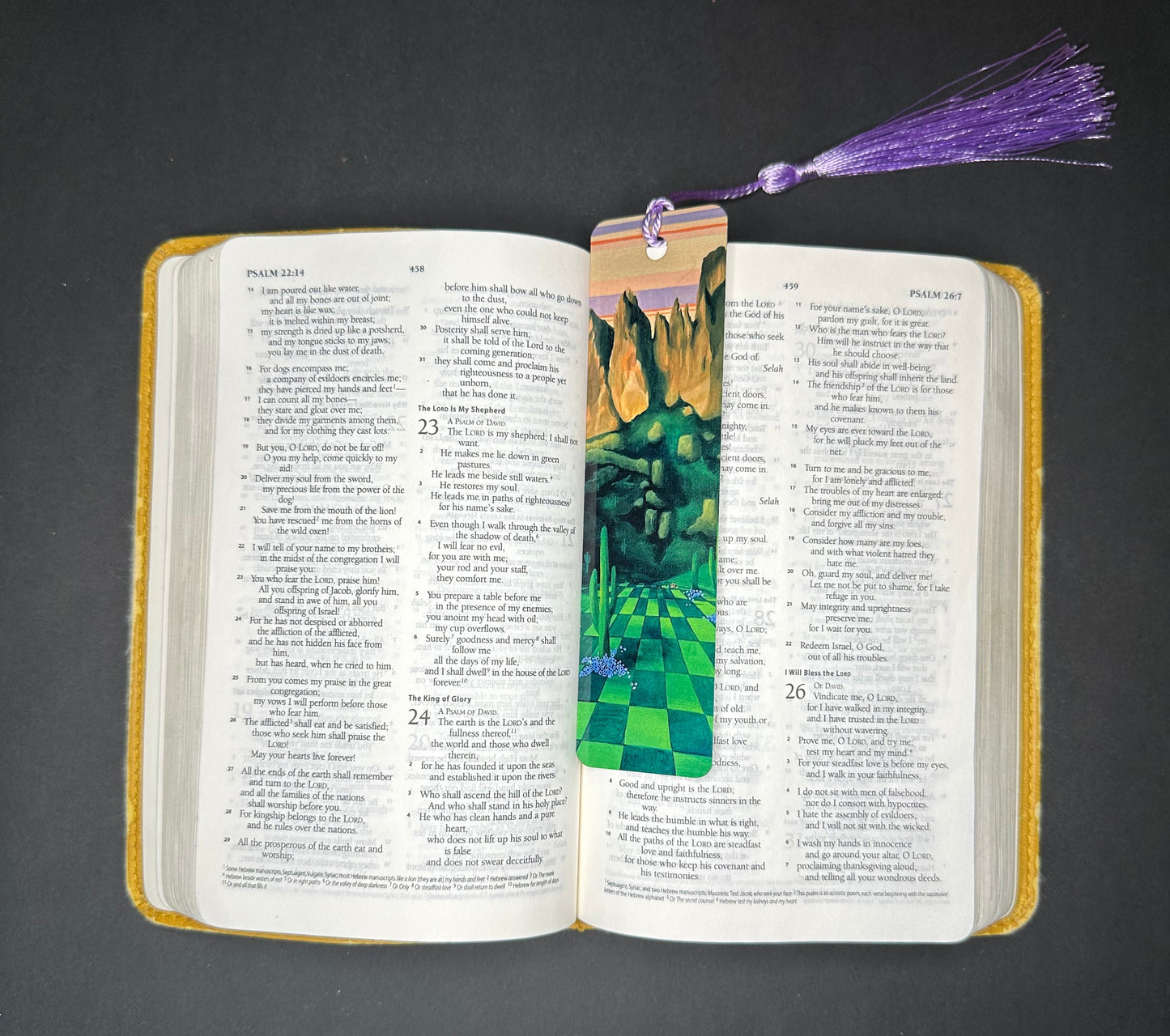 "Image of the Invisible" Print Bookmark