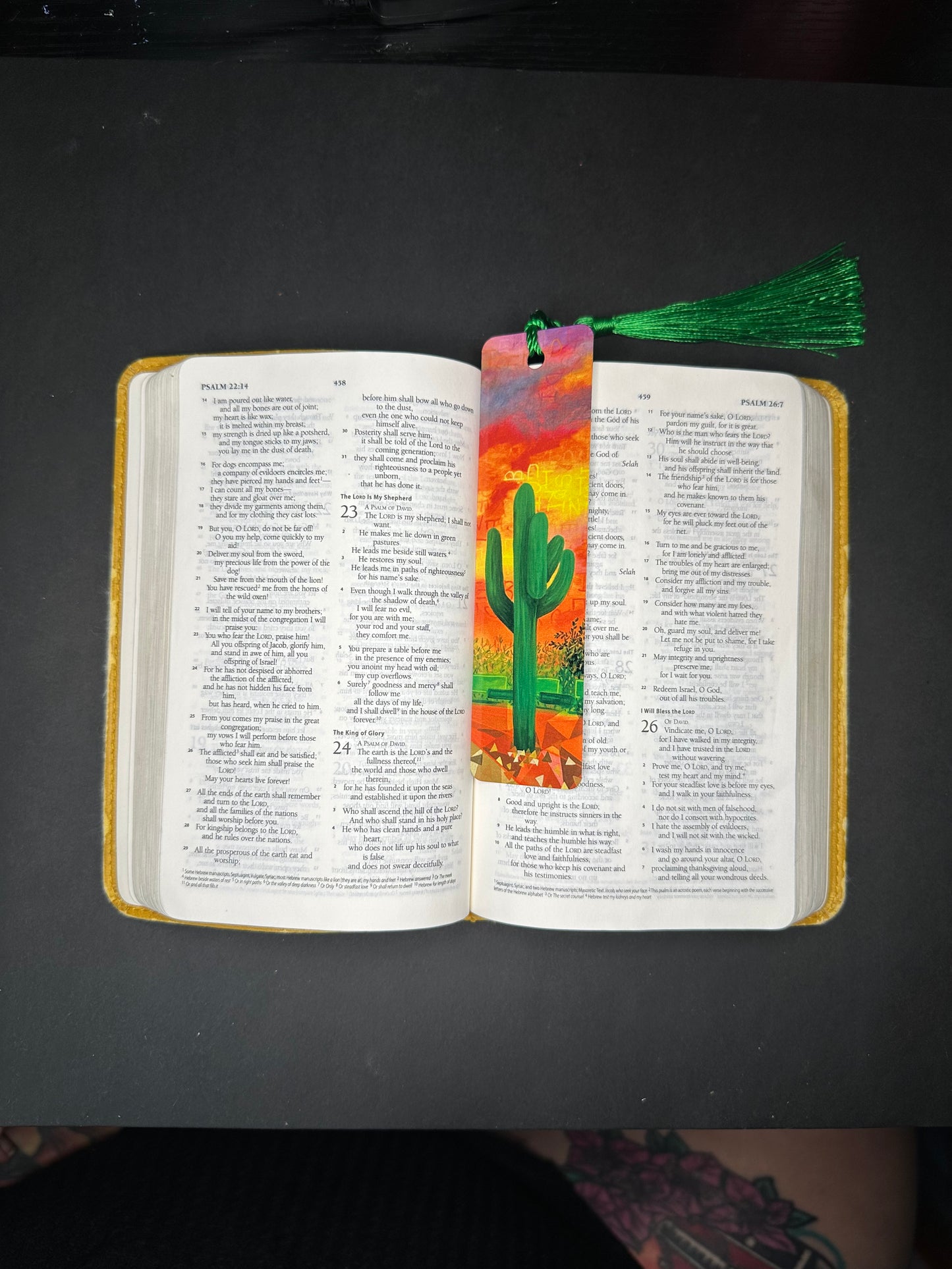 "Truth in the Desert" pt.2 Print Bookmark