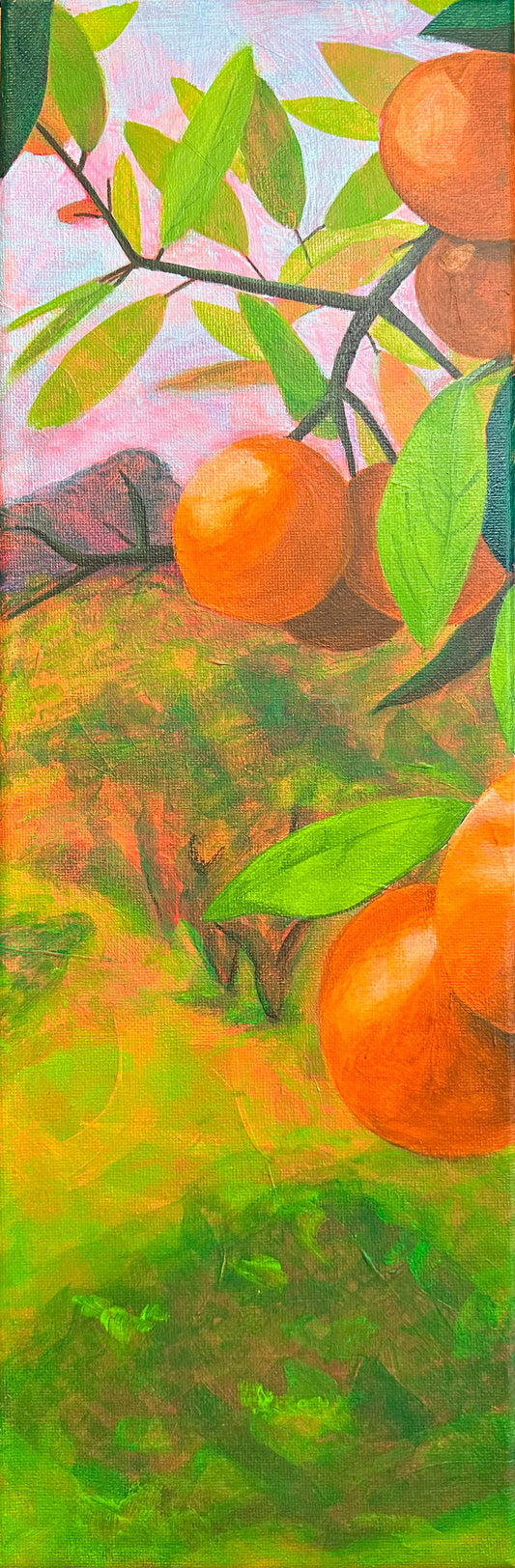 Orange Grove