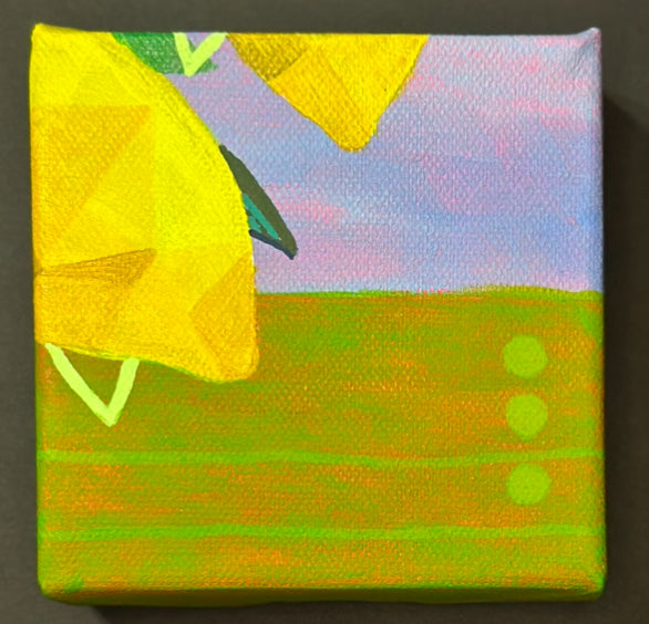 Citrus Mini #2