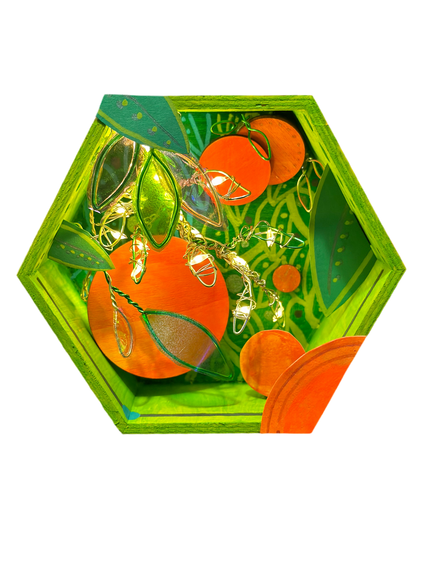 Illumination Shadow Box Customs