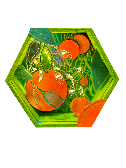 Illumination Shadow Box Customs