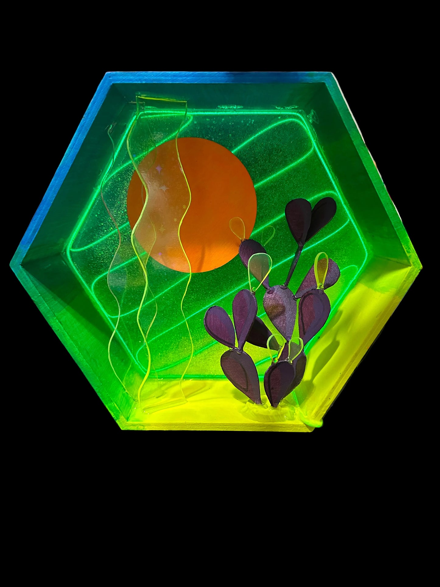 “Oceans of Prickly Pear” Illuminated Shadowbox