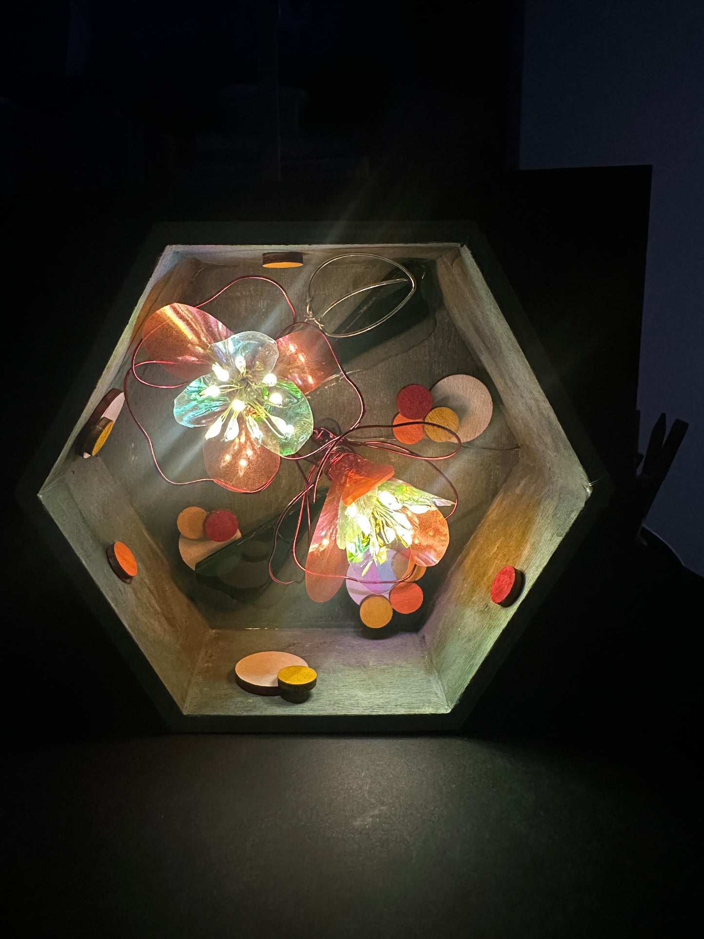 Caja de luz de flores delicadas